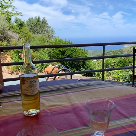 Villa Confina Villanova 外观 照片